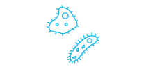 Bacterial Genome Seq