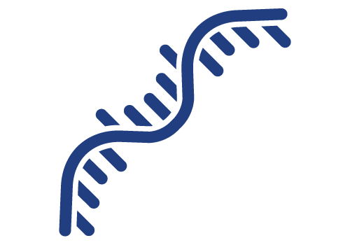 DNA / RNA SYNTHESIS