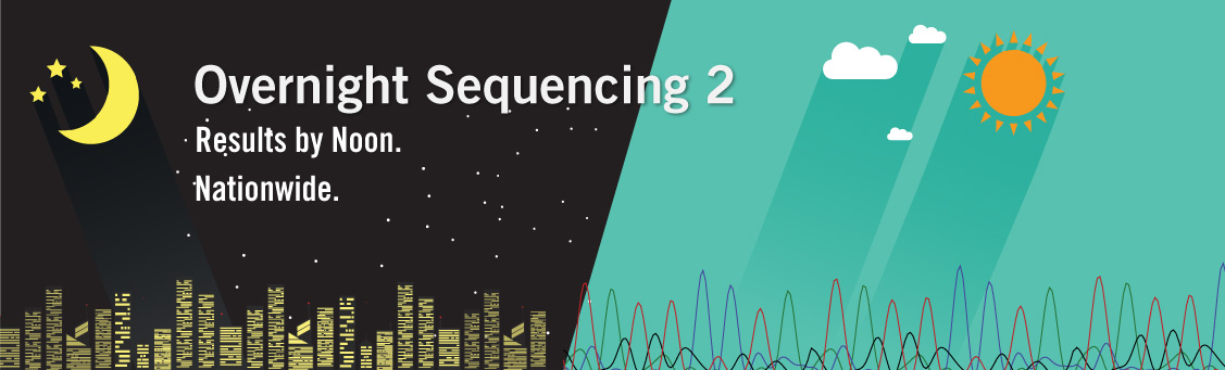 Overnight Sequencing Results 