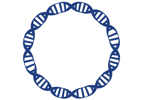 GENE <br/>SYNTHESIS