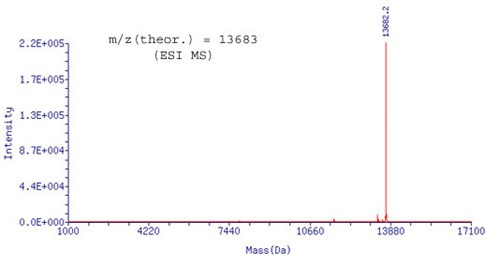 Mass1