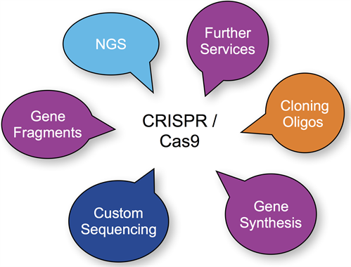 CRISPR1_499x 380