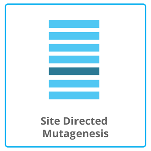 Site directed mutagenesis  