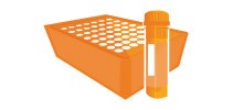 Oligos in Tubes and Plates