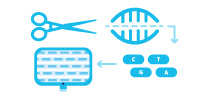 Clinical                     Whole Genome Sequencing (30X)